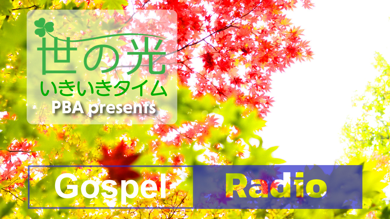 やり直しきく？きかない？