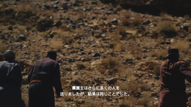 マタイの福音書21章23節～21章46節「敵のわな」