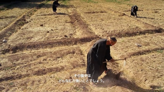 ルカの福音書1章26節～1章56節「マリヤへの約束」