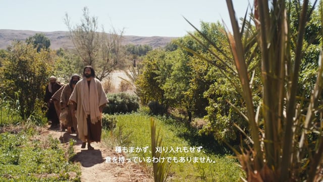 ルカの福音書12章1節～12章34節「神を恐れなさい」