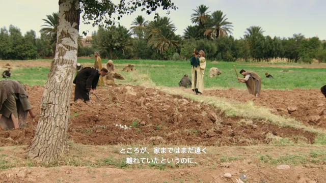 ルカの福音書15章1節～15章32節「失われたものが見つかる喜び」