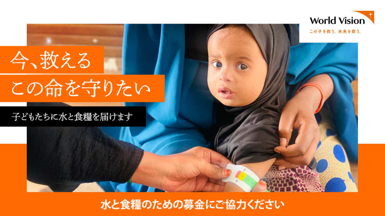 ワールドビジョン　通常期