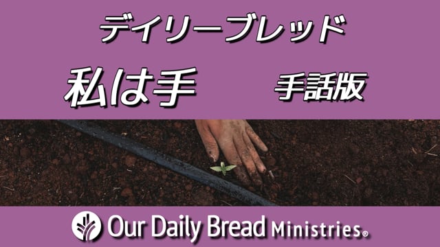 私は手