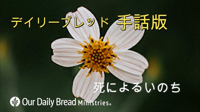 死によるいのち